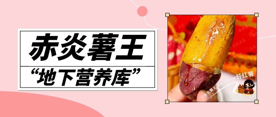 预览图